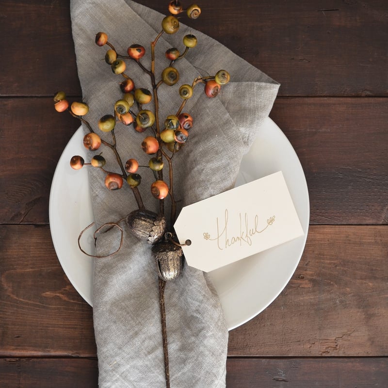 Cloth Napkins